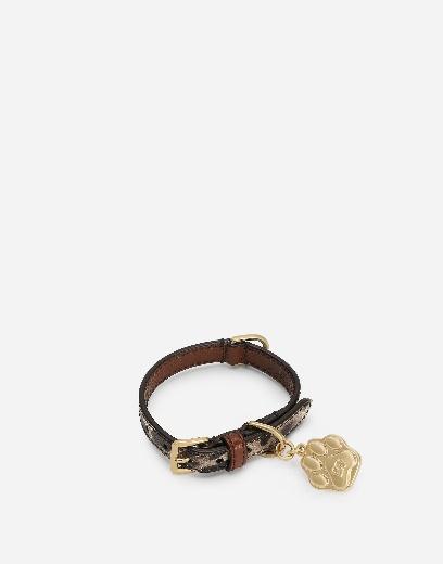 ⑩ Dolce&Gabbana｜ドッグ カラー